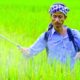 india must cut fertiliser import dependence leverage ai and precision tech icar chief 2026 04 15 80x80