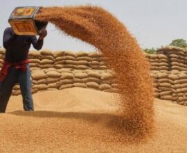 **Govt lifts wheat export ban to rescue farmers from price slump**