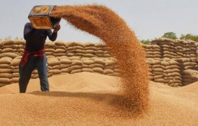 **Govt lifts wheat export ban to rescue farmers from price slump**
