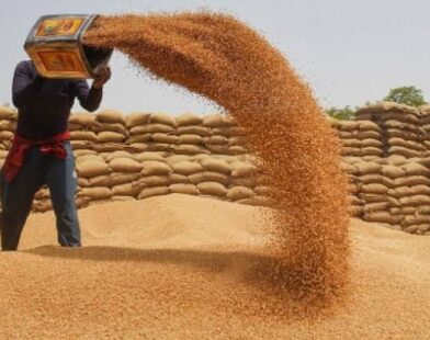 **Govt lifts wheat export ban to rescue farmers from price slump**