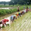 ₹21 crore aid reaches 508 farmer families in Etawah