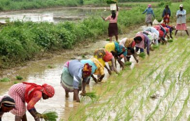 ₹21 crore aid reaches 508 farmer families in Etawah