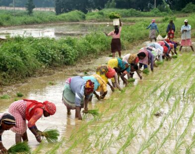 ₹21 crore aid reaches 508 farmer families in Etawah