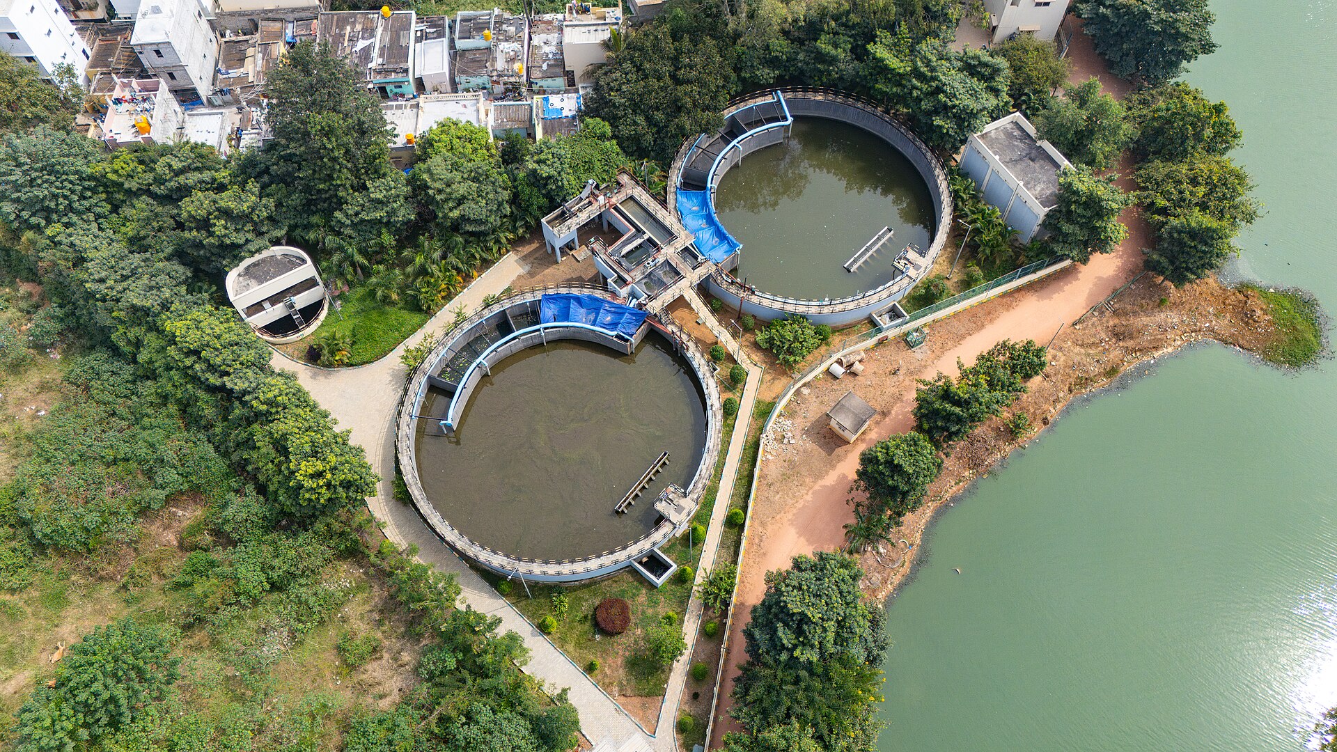 CII-IGBC report highlights nature-based wastewater solutions in Tamil Nadu