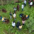 Allcargo group targets 3 lakh plantations in Maharashtra to support 5,000 farmers CSR initiative