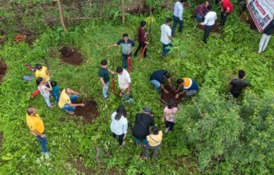 Allcargo group targets 3 lakh plantations in Maharashtra to support 5,000 farmers CSR initiative