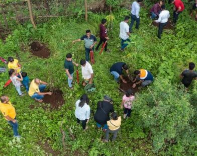 Allcargo group targets 3 lakh plantations in Maharashtra to support 5,000 farmers CSR initiative