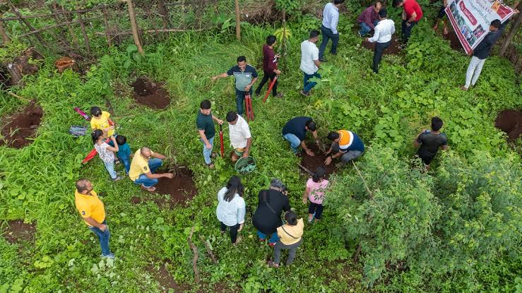 Allcargo group targets 3 lakh plantations in Maharashtra to support 5,000 farmers CSR initiative