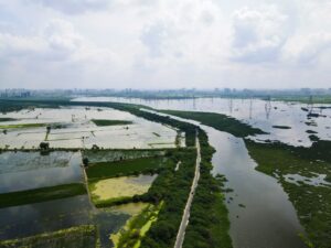 Nature-based wastewater and rainwater management infrastructure at a demonstration project in Chennai.