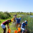 RIVER RESTORATION