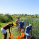 the tampa bay estuary program CxL29J aM5E unsplash 80x80