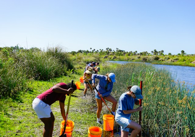 RIVER RESTORATION